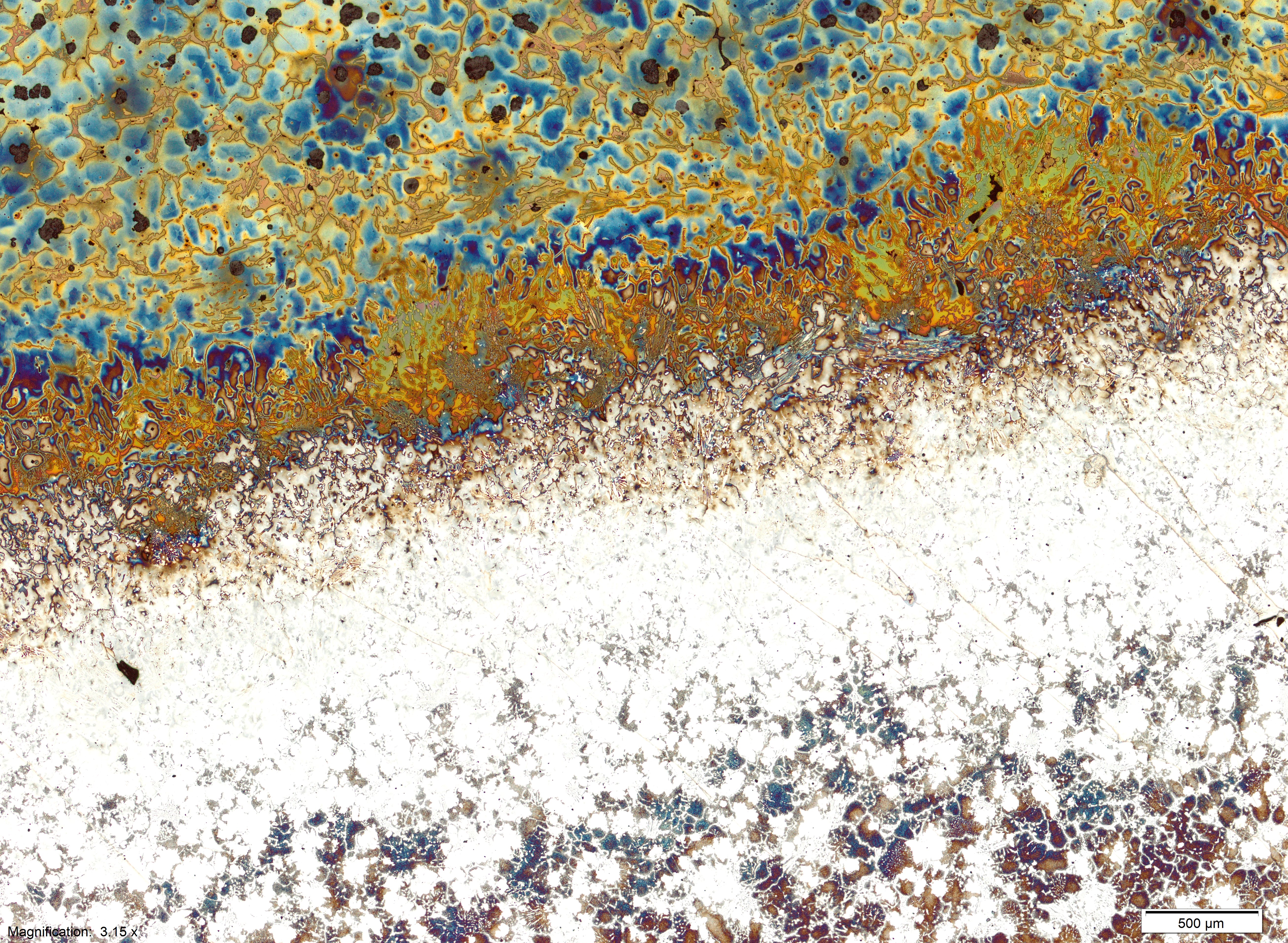 Light Microscope